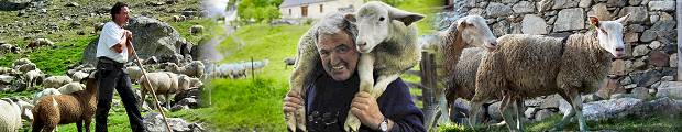 Gîte Hautes-Pyrénées Val d'Azun : le Ladya