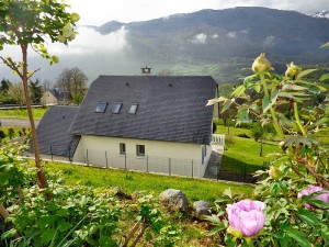 Environnement montagnard