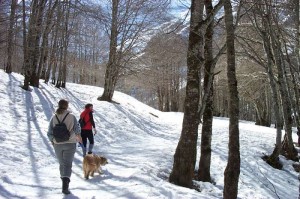 Promenade en montagne